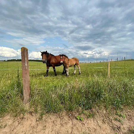 Сasa de vacaciones Koniec Swiata Dom 84m2 Z Balia I Basenem Na Wylacznosc Mikołajki